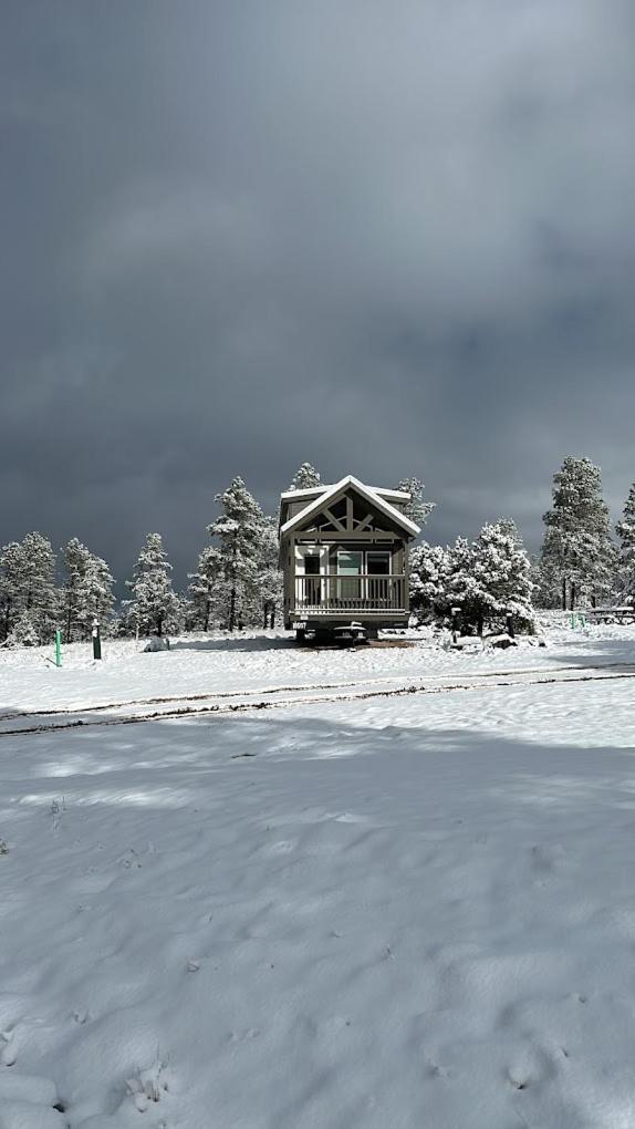 Cozy Cabins By Forest View 3B ويليامز المظهر الخارجي الصورة